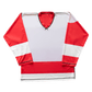 SPR300 Reversible Practice Hockey Jersey - Detroit