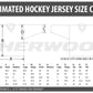 Sublimated Hockey Jersey -  Your Design